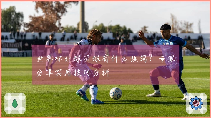 世界杯让球买球有什么诀窍？专家分享实用技巧分析
