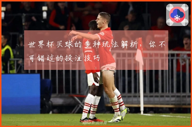 世界杯买球的多种玩法解析，你不可错过的投注技巧