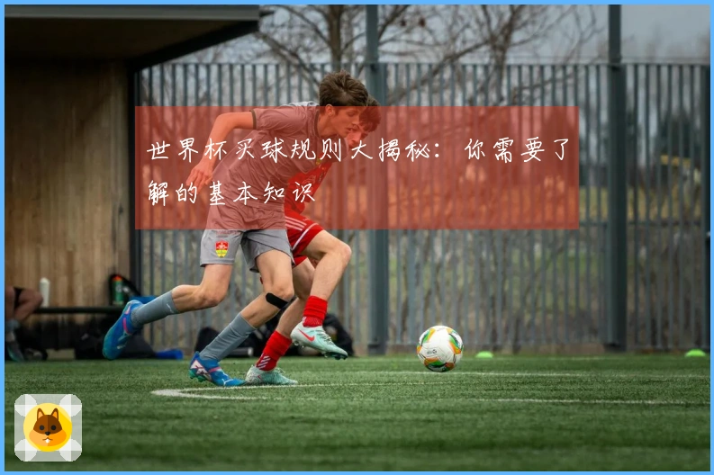 世界杯买球规则大揭秘：你需要了解的基本知识