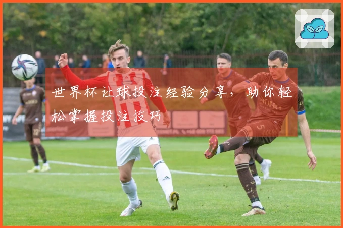 世界杯让球投注经验分享，助你轻松掌握投注技巧