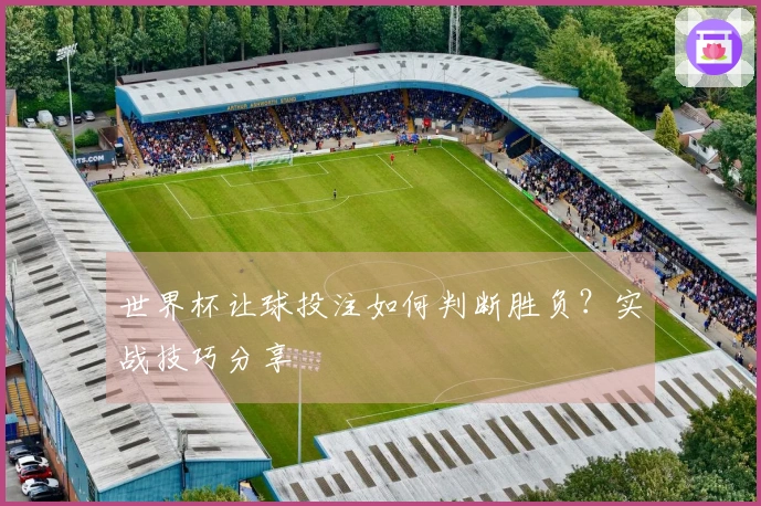 世界杯让球投注如何判断胜负？实战技巧分享