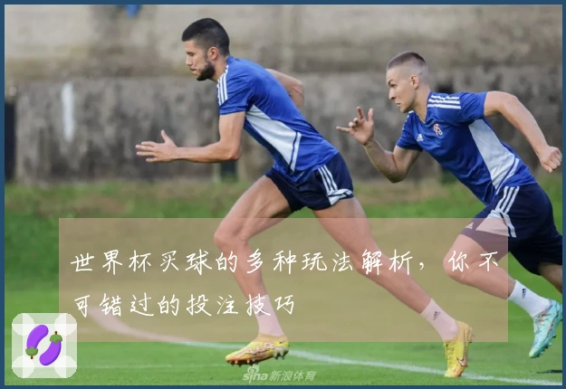 世界杯买球的多种玩法解析，你不可错过的投注技巧