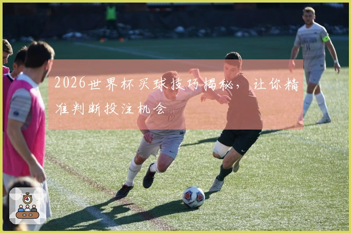 2026世界杯买球技巧揭秘，让你精准判断投注机会