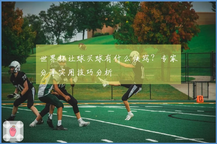 世界杯让球买球有什么诀窍？专家分享实用技巧分析