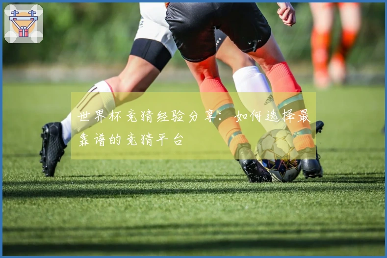 世界杯竞猜经验分享：如何选择最靠谱的竞猜平台
